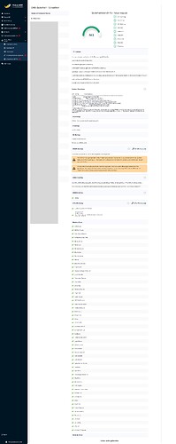 DNS-Analyse
